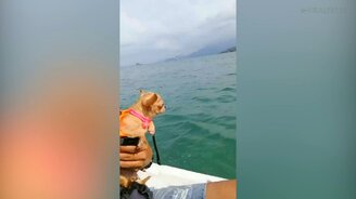 Поплыву-ка на всякий случай... - смотреть видео (0:39)