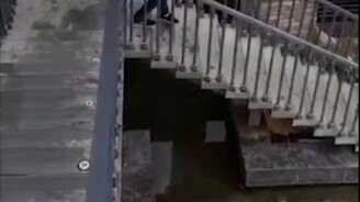 Девушка наводит порядок в мире - смотреть видео (0:51)