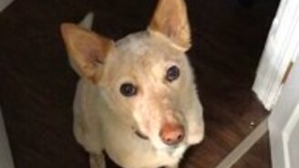 Намёк понят? - смотреть видео (0:10)