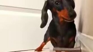 Это что ещё за штука? - смотреть видео (0:30)