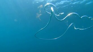 Волшебство с воздушными кольцами в море - смотреть видео (0:26)