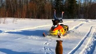 Смешное сальто скорпиона - смотреть видео (0:10)