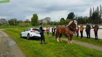 Лошадь вытаскивает машину - смотреть видео (0:13)