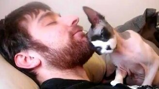 Вот так кошка! - смотреть видео (1:41)