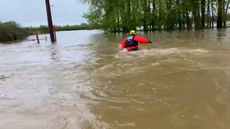 Спасли кота во время наводнения - смотреть видео (0:51)