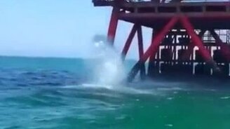 Когда не хочешь, но делаешь - смотреть видео (0:19)