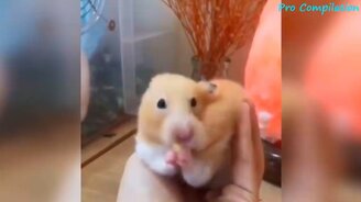 Захватывающие и кажущиеся невероятными мгновенья - смотреть видео (6:36)