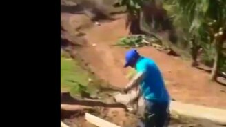 Когда пугаются люди и питомцы - смотреть видео (6:01)