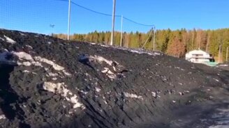 Найди пуделя! - смотреть видео (0:10)