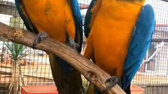 Держимся вместе! - смотреть видео (0:09)