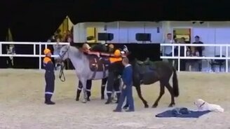 Спасательный номер провалился - смотреть видео (1:00)