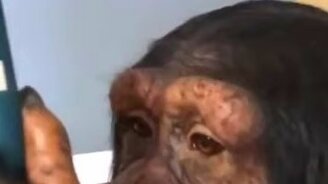 Вот кому нужен Инстаграм! - смотреть видео (1:00)