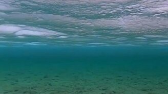 Неожиданная красота подо льдом - смотреть видео (0:44)