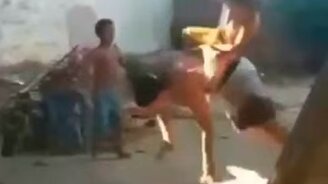 Не оседлал папу - смотреть видео (0:18)