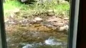 Туалет у дороги в Норвегии - смотреть видео (0:26)