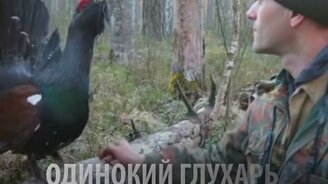Глухарь дерётся с человеком - смотреть видео (1:51)