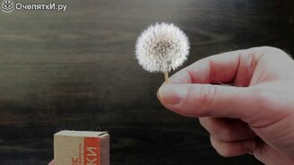 Превращение спички в одуванчик - смотреть видео (0:06)