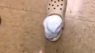 Как развеселить себя за 5 секунд - смотреть видео (0:07)