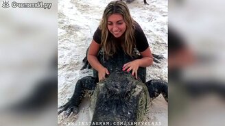 Яркое смешное в коллекции - смотреть видео (10:36)