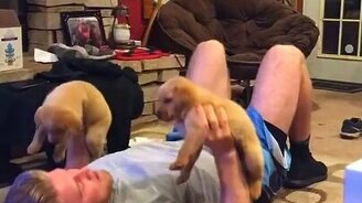 Щенята-гантели - смотреть видео (0:06)