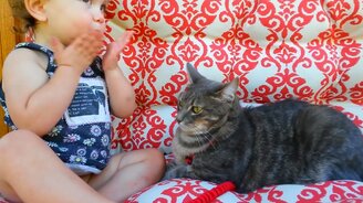 Трогательные питомцы и малыши - смотреть видео (10:27)