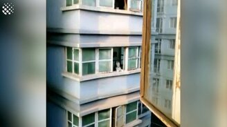 Весёлые приколы с хаски - смотреть видео (8:08)