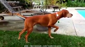 Весёлое и задорное в коллекции - смотреть видео (10:02)