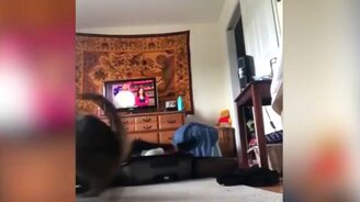 Зачем залезла в мой чемодан? - смотреть видео (1:23)