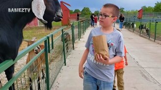 Детишки и животные в зоопарке - смотреть видео (2:17)