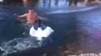 Ты заплыл на мою территорию! - смотреть видео (0:24)