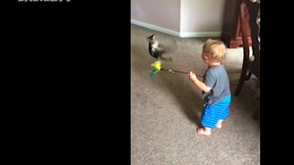 Детишки против кошек - смотреть видео (3:13)