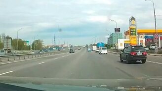 Пожарные пропускают утиное семейство - смотреть видео (0:33)