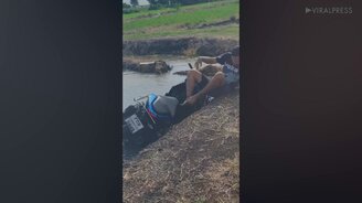 Встал на дыбы и уехал в лужу - смотреть видео (0:15)