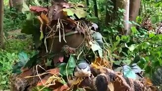 Как помогает камуфляж - смотреть видео (0:12)