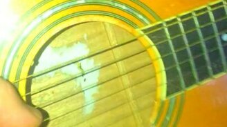 Попугайчик-меломан - смотреть видео (0:33)