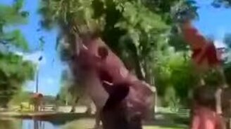 Скольких выдержит тарзанка? - смотреть видео (0:59)