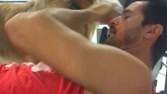 Лучший тренер дома - смотреть видео (0:08)