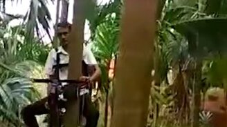 Как выглядит мотодреволаз - смотреть видео (2:11)