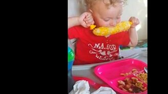 Курьёзы: детки и пища - смотреть видео (10:31)