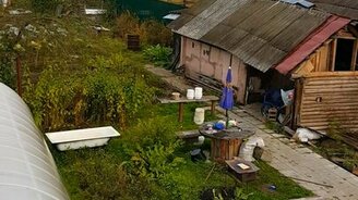 Внезапное появление пумы в огороде - смотреть видео (0:21)