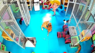 Вот стоял стул, никому не нужен... - смотреть видео (0:24)