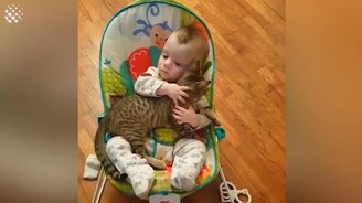 15 трогательных видео: дети и питомцы - смотреть видео (6:47)