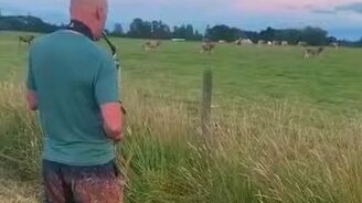 Подманил к себе тёлочек - смотреть видео (2:19)