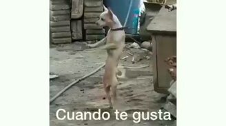 Такому танцору ничего не мешает - смотреть видео (0:24)