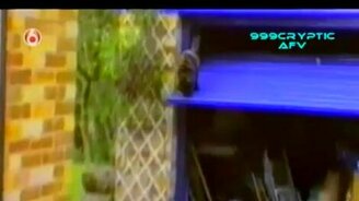 Смешная домашняя подборка 50 - смотреть видео (7:56)