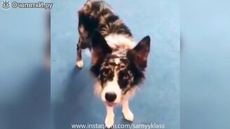 Сборка приятного глазу и прикольного видео - смотреть видео (10:58)