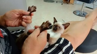 Когда массаж сводит с ума - смотреть видео (0:50)