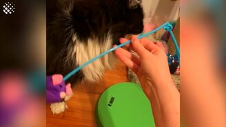 40 эффектных видео за месяц - смотреть видео (18:38)