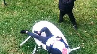 Дворовый реслинг - смотреть видео (0:25)