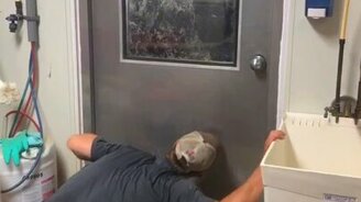 Игра в прятки с коровой - смотреть видео (0:14)